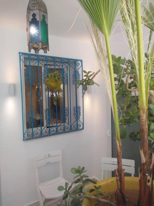 Cosy Appartement In "Sidi Bou Said" Εξωτερικό φωτογραφία