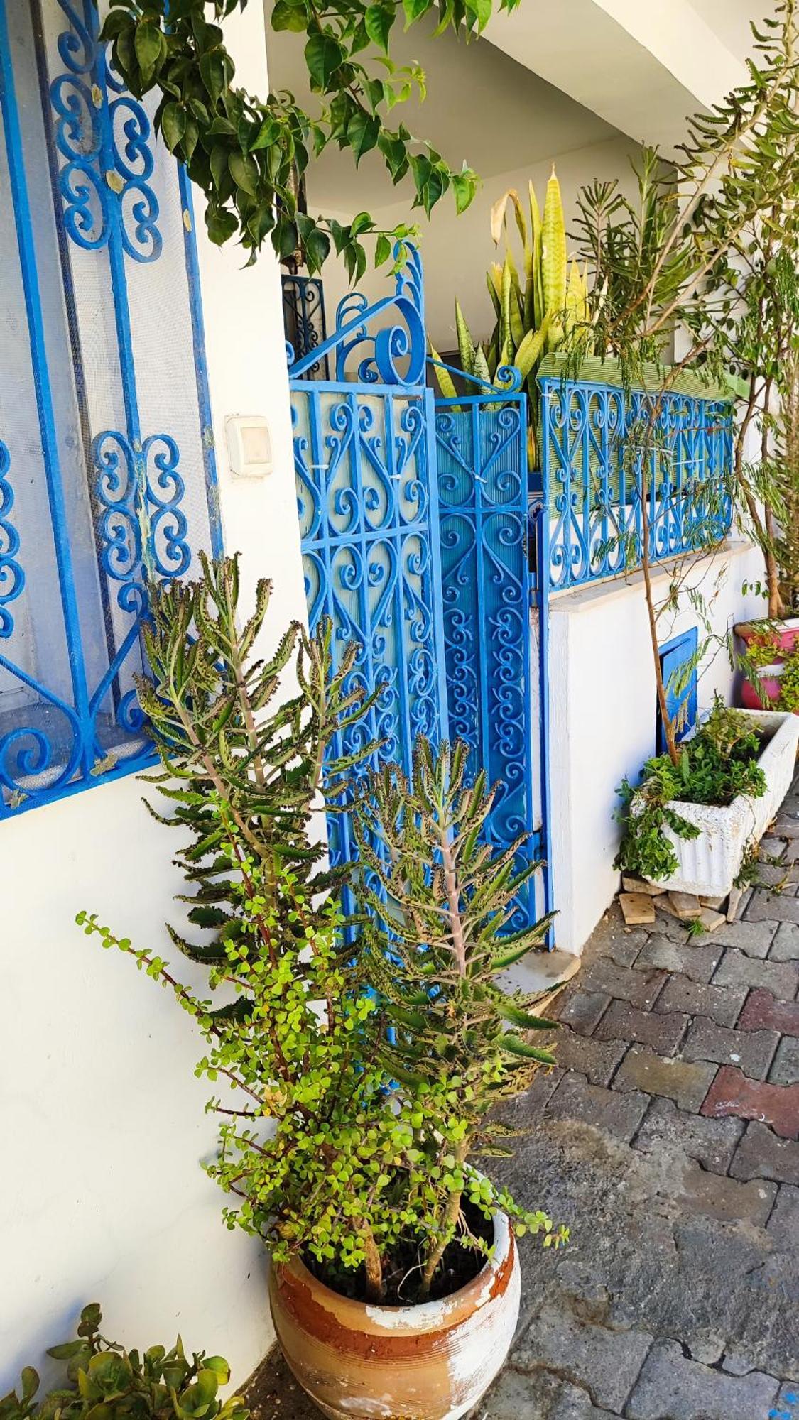 Cosy Appartement In "Sidi Bou Said" Εξωτερικό φωτογραφία